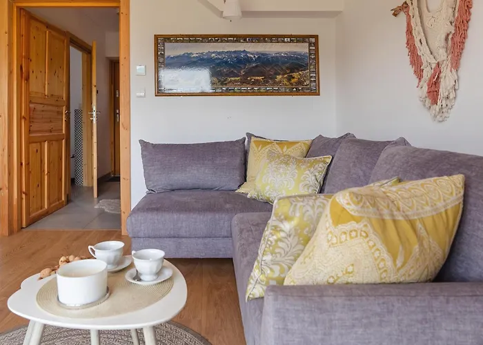 Miodowe * 穆扎希赫尔