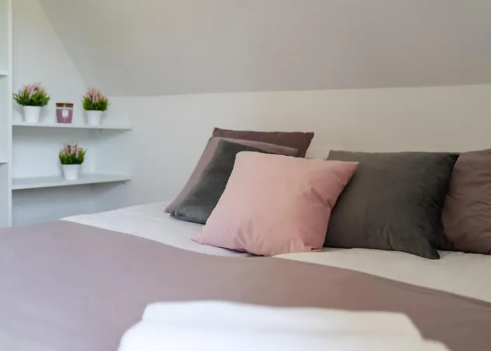 Miodowe 穆扎希赫尔